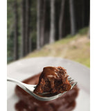 Wayfayrer Chocolate Pudding with Chocolate Sauce